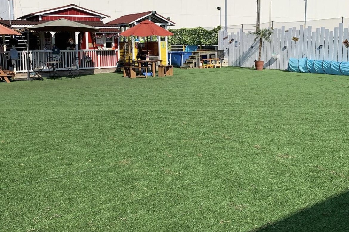 12 04 土 発 大阪いらっしゃいキャンペーン21わんこと行く 神秘の犬鳴山散策 人気ドッグランで交流会 Wantabi