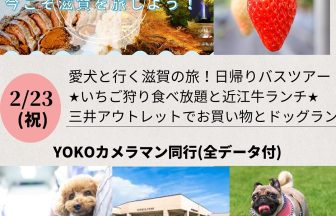 犬とバスツアー